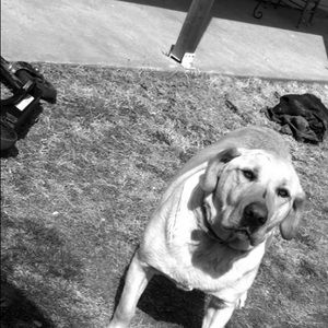 Meet your Posher, Chloe